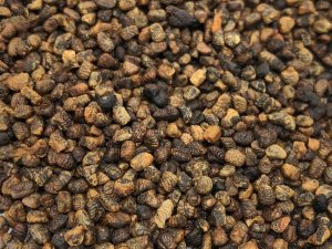 Coffee Method Cardamom